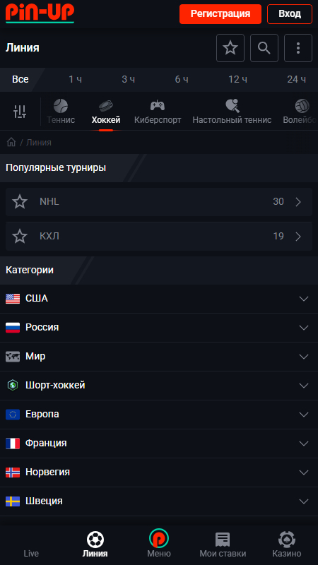 Pin-Up ставки на хоккей