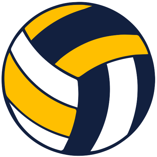 Volleyball icon